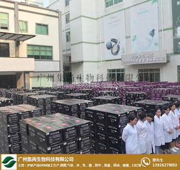 上海化妝品oem 集尚生物化妝品oem 化妝品oem代加工